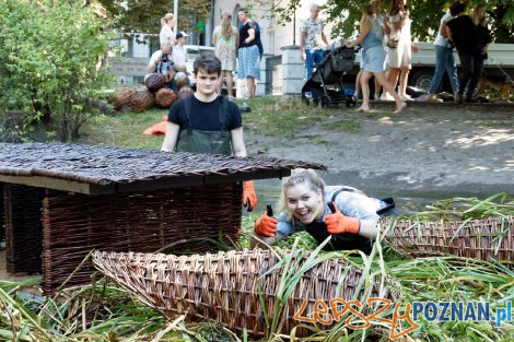 Pływające ogrody w parku Wilsona  Foto: materiały prasowe / UMP