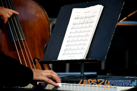 Koncert Sołacki nad Rusałką - Wiesław Prządka Quartet  Foto: Katarzyna Lonowska