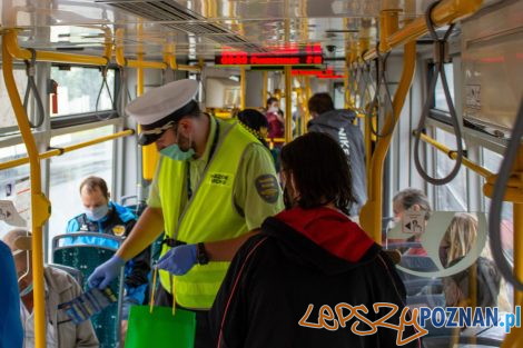 Akcja Straży Miejskiej i MPK w tramwajach  Foto: MPK