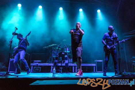 Łydka Grubasa na Skwerze Play (Stadion Miejski) - Poznań 28.08  Foto: LepszyPOZNAN.pl / Paweł Rychter