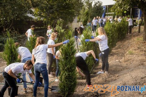 Akcja Drzewo dla działkowca pracowników Beiersdorf Poznań  Foto: mat. prasowe