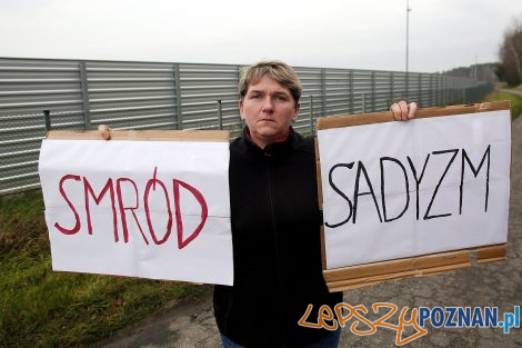 Wielkopolanie przeciw fermom norek  Foto: Otwarte Klatki 