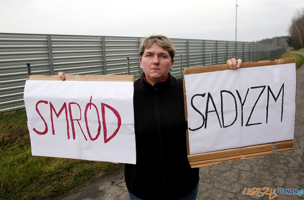 Wielkopolanie przeciw fermom norek  Foto: Otwarte Klatki 