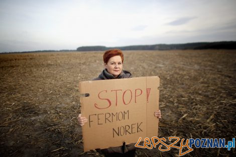 Wielkopolanie przeciw fermom norek  Foto: Otwarte Klatki 