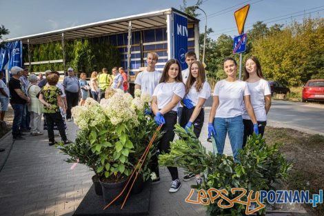 Akcja Drzewo dla działkowca pracowników Beiersdorf Poznań  Foto: mat. prasowe