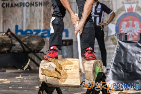 XVII Mistrzostwa Polski Strażaków Ochotników STIHL TIMBERSPOR  Foto: lepszyPOZNAN.pl/Piotr Rychter