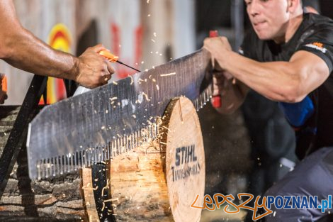 XVII Mistrzostwa Polski Strażaków Ochotników STIHL TIMBERSPOR  Foto: lepszyPOZNAN.pl/Piotr Rychter