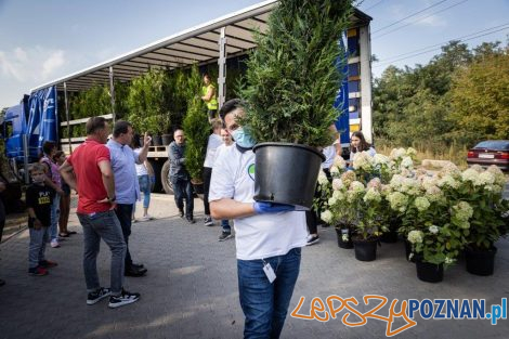 Akcja Drzewo dla działkowca pracowników Beiersdorf Poznań  Foto: mat. prasowe