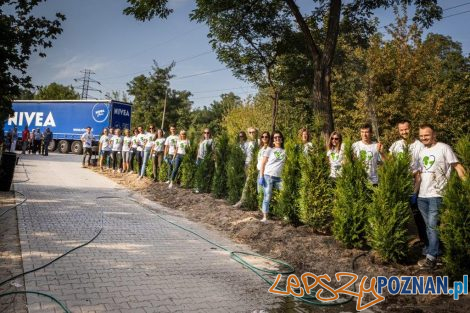 Akcja Drzewo dla działkowca pracowników Beiersdorf Poznań  Foto: mat. prasowe