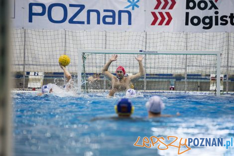 Box Logistics Waterpolo Poznań – Neptun Łódź  Foto: lepszyPOZNAN.pl/Ewelina Jaśkowiak