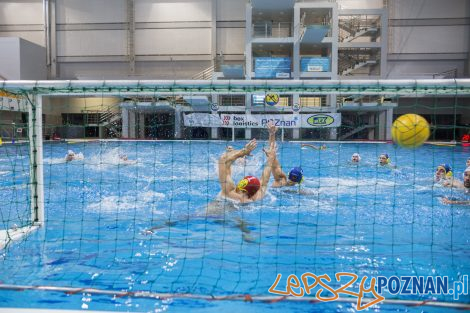 Box Logistics Waterpolo Poznań – Neptun Łódź  Foto: lepszyPOZNAN.pl/Ewelina Jaśkowiak