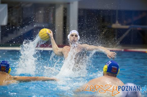 Box Logistics Waterpolo Poznań – Neptun Łódź  Foto: lepszyPOZNAN.pl/Ewelina Jaśkowiak