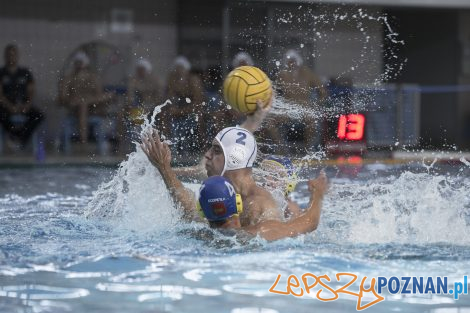 Box Logistics Waterpolo Poznań – Neptun Łódź  Foto: lepszyPOZNAN.pl/Ewelina Jaśkowiak