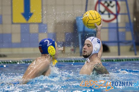 Box Logistics Waterpolo Poznań – Neptun Łódź  Foto: lepszyPOZNAN.pl/Ewelina Jaśkowiak