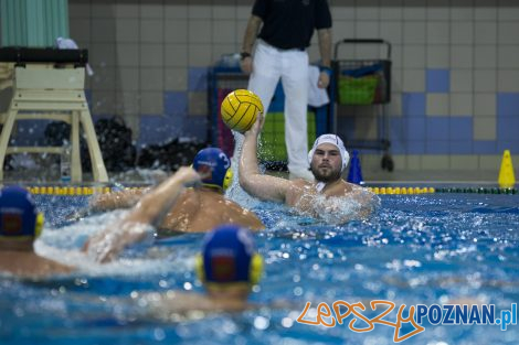 Box Logistics Waterpolo Poznań – Neptun Łódź  Foto: lepszyPOZNAN.pl/Ewelina Jaśkowiak