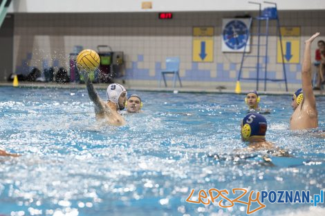 Box Logistics Waterpolo Poznań – Neptun Łódź  Foto: lepszyPOZNAN.pl/Ewelina Jaśkowiak