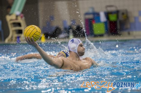 Box Logistics Waterpolo Poznań – Neptun Łódź  Foto: lepszyPOZNAN.pl/Ewelina Jaśkowiak