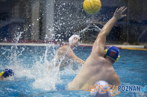 Box Logistics Waterpolo Poznań – Neptun Łódź  Foto: lepszyPOZNAN.pl/Ewelina Jaśkowiak