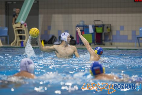 Box Logistics Waterpolo Poznań – Neptun Łódź  Foto: lepszyPOZNAN.pl/Ewelina Jaśkowiak