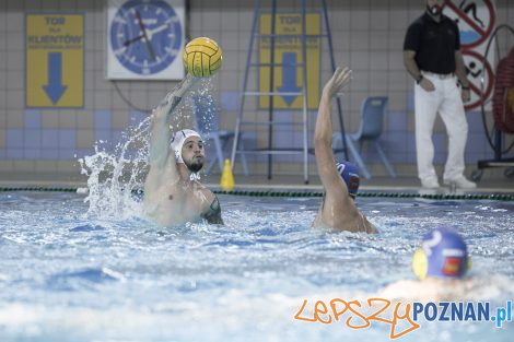 Box Logistics Waterpolo Poznań – Neptun Łódź  Foto: lepszyPOZNAN.pl/Ewelina Jaśkowiak