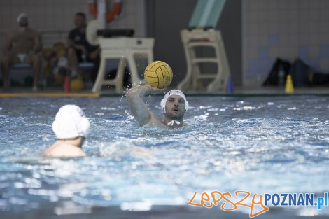 Box Logistics Waterpolo Poznań – Neptun Łódź  Foto: lepszyPOZNAN.pl/Ewelina Jaśkowiak