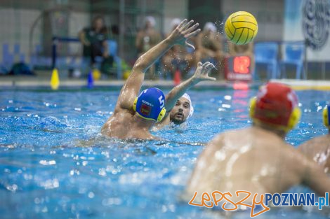 Box Logistics Waterpolo Poznań – Neptun Łódź  Foto: lepszyPOZNAN.pl/Ewelina Jaśkowiak