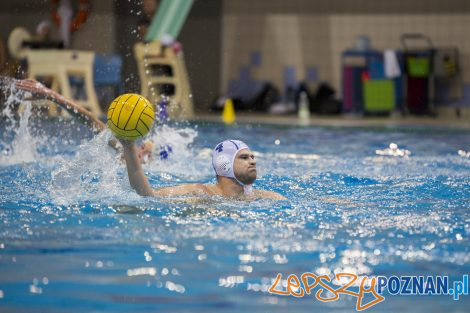 Box Logistics Waterpolo Poznań – Neptun Łódź  Foto: lepszyPOZNAN.pl/Ewelina Jaśkowiak