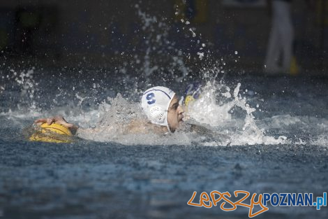 Box Logistics Waterpolo Poznań – Neptun Łódź  Foto: lepszyPOZNAN.pl/Ewelina Jaśkowiak