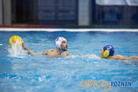 Box Logistics Waterpolo Poznań – Neptun Łódź  Foto: lepszyPOZNAN.pl/Ewelina Jaśkowiak