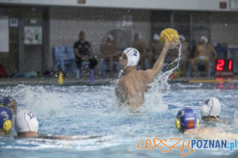 Box Logistics Waterpolo Poznań – Neptun Łódź  Foto: lepszyPOZNAN.pl/Ewelina Jaśkowiak