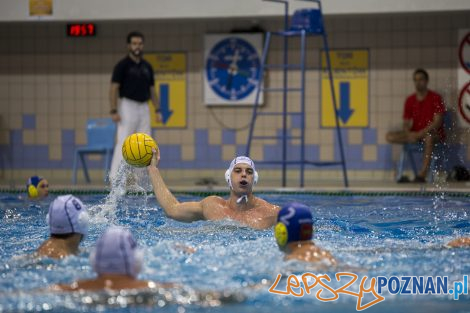 Box Logistics Waterpolo Poznań – Neptun Łódź  Foto: lepszyPOZNAN.pl/Ewelina Jaśkowiak