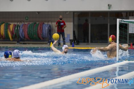 Box Logistics Waterpolo Poznań – Neptun Łódź  Foto: lepszyPOZNAN.pl/Ewelina Jaśkowiak