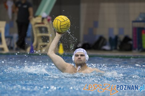 Box Logistics Waterpolo Poznań – Neptun Łódź  Foto: lepszyPOZNAN.pl/Ewelina Jaśkowiak