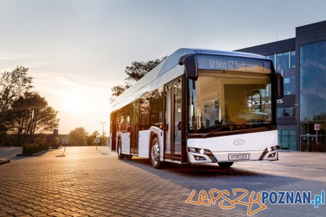 solaris urbino 12 hydrogen  Foto: 