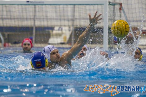 Box Logistics Waterpolo Poznań – Neptun Łódź  Foto: lepszyPOZNAN.pl/Ewelina Jaśkowiak