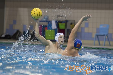 Box Logistics Waterpolo Poznań – Neptun Łódź  Foto: lepszyPOZNAN.pl/Ewelina Jaśkowiak