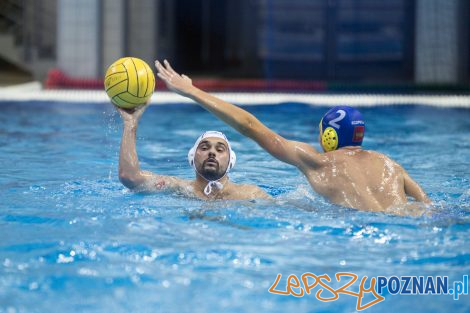 Box Logistics Waterpolo Poznań – Neptun Łódź  Foto: lepszyPOZNAN.pl/Ewelina Jaśkowiak