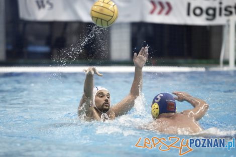 Box Logistics Waterpolo Poznań – Neptun Łódź  Foto: lepszyPOZNAN.pl/Ewelina Jaśkowiak