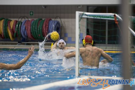 Box Logistics Waterpolo Poznań – Neptun Łódź  Foto: lepszyPOZNAN.pl/Ewelina Jaśkowiak