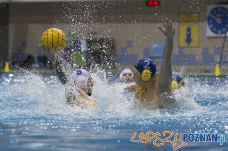 Box Logistics Waterpolo Poznań – Neptun Łódź  Foto: lepszyPOZNAN.pl/Ewelina Jaśkowiak