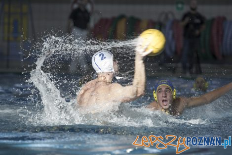 Box Logistics Waterpolo Poznań – Neptun Łódź  Foto: lepszyPOZNAN.pl/Ewelina Jaśkowiak