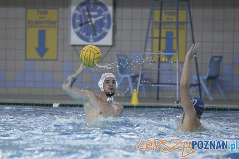 Box Logistics Waterpolo Poznań – Neptun Łódź  Foto: lepszyPOZNAN.pl/Ewelina Jaśkowiak