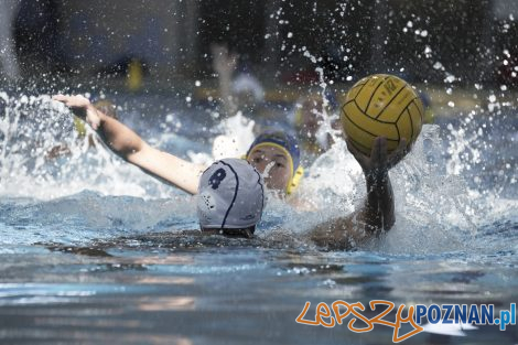 Box Logistics Waterpolo Poznań – Neptun Łódź  Foto: lepszyPOZNAN.pl/Ewelina Jaśkowiak