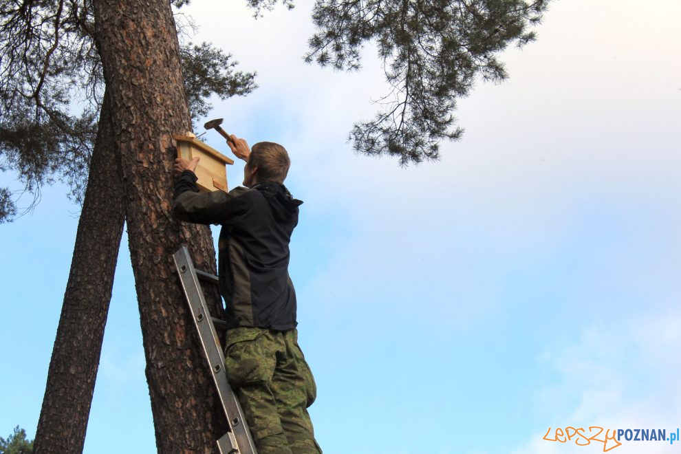 Schron dla nietoperzy  Foto: materiały prasowe