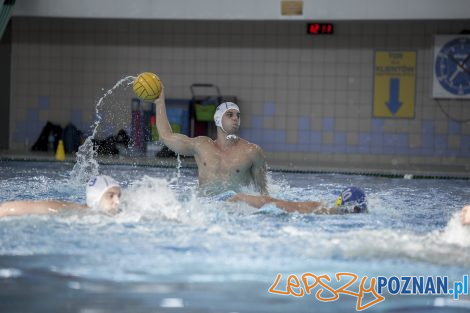 Box Logistics Waterpolo Poznań – Neptun Łódź  Foto: lepszyPOZNAN.pl/Ewelina Jaśkowiak