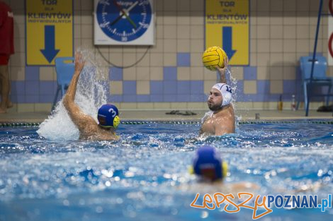 Box Logistics Waterpolo Poznań – Neptun Łódź  Foto: lepszyPOZNAN.pl/Ewelina Jaśkowiak