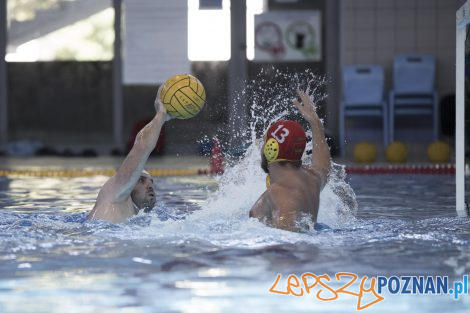 Box Logistics Waterpolo Poznań – Neptun Łódź  Foto: lepszyPOZNAN.pl/Ewelina Jaśkowiak