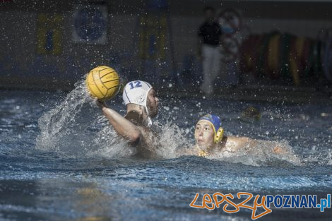 Box Logistics Waterpolo Poznań – Neptun Łódź  Foto: lepszyPOZNAN.pl/Ewelina Jaśkowiak