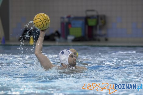 Box Logistics Waterpolo Poznań – Neptun Łódź  Foto: lepszyPOZNAN.pl/Ewelina Jaśkowiak