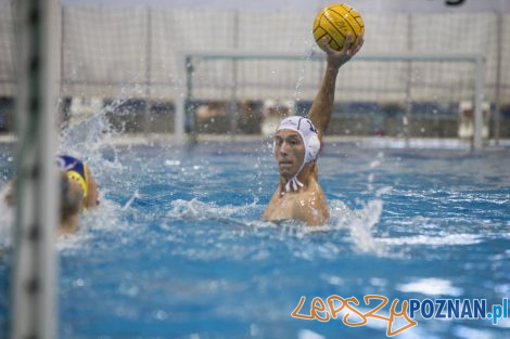 Box Logistics Waterpolo Poznań – Neptun Łódź  Foto: lepszyPOZNAN.pl/Ewelina Jaśkowiak